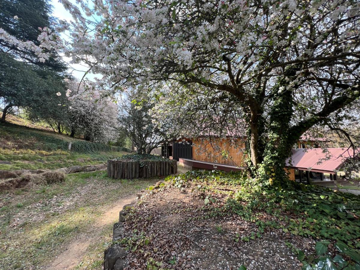Malachite Manor Underberg Exterior foto